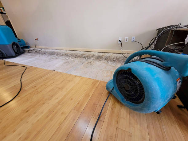 Professional Basement Flood Cleanup technician working in Bonlee, NC